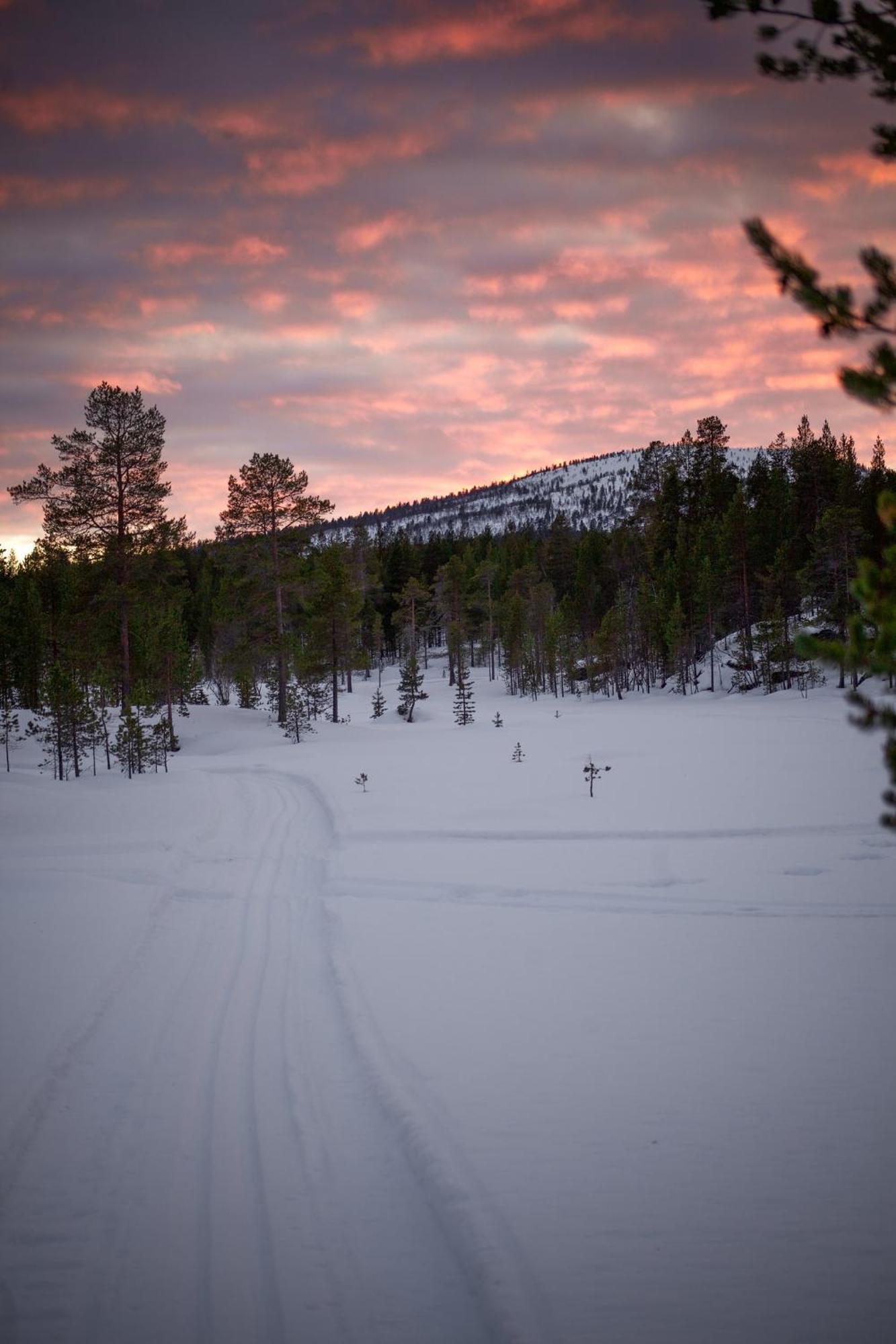 Crow Creek Cabins Inari Exterior foto
