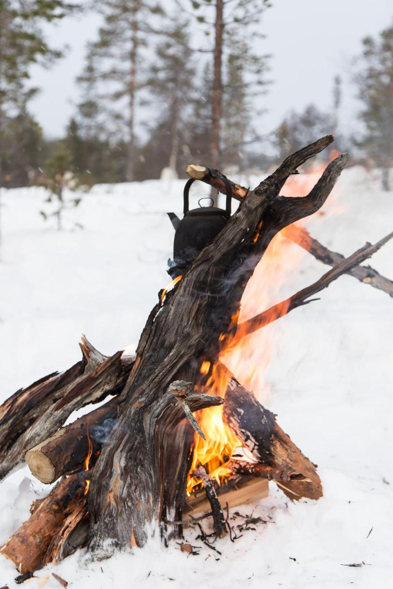 Crow Creek Cabins Inari Exterior foto